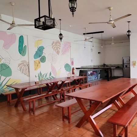 Poco A Poco Hostel León 外观 照片