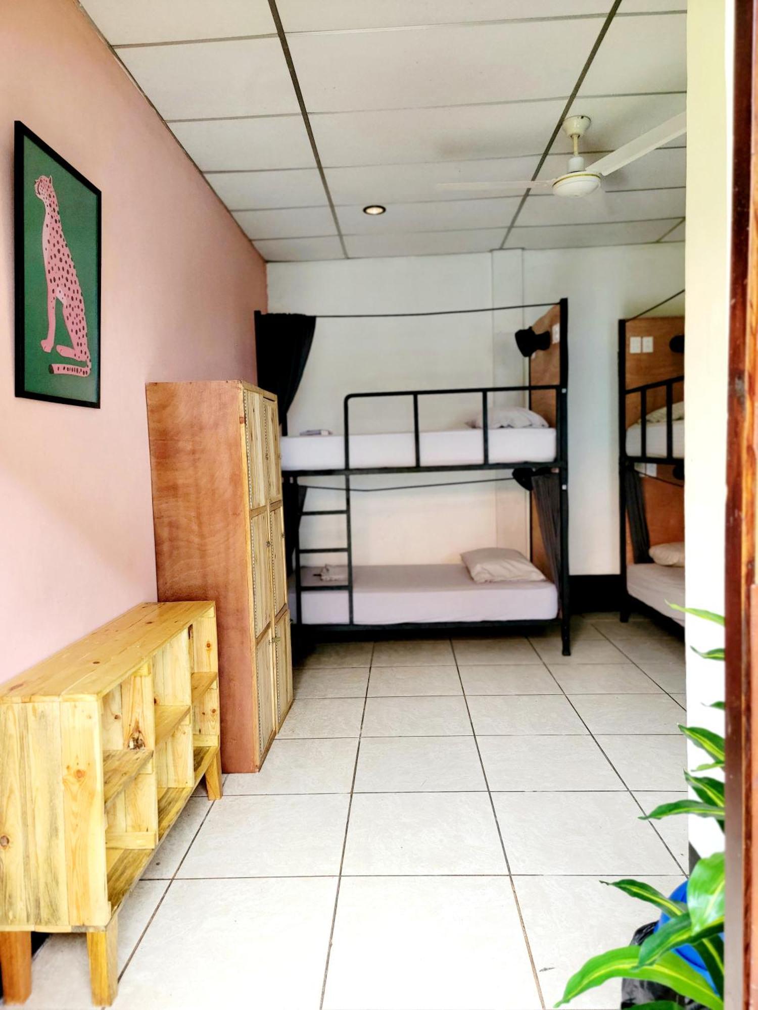 Poco A Poco Hostel León 外观 照片