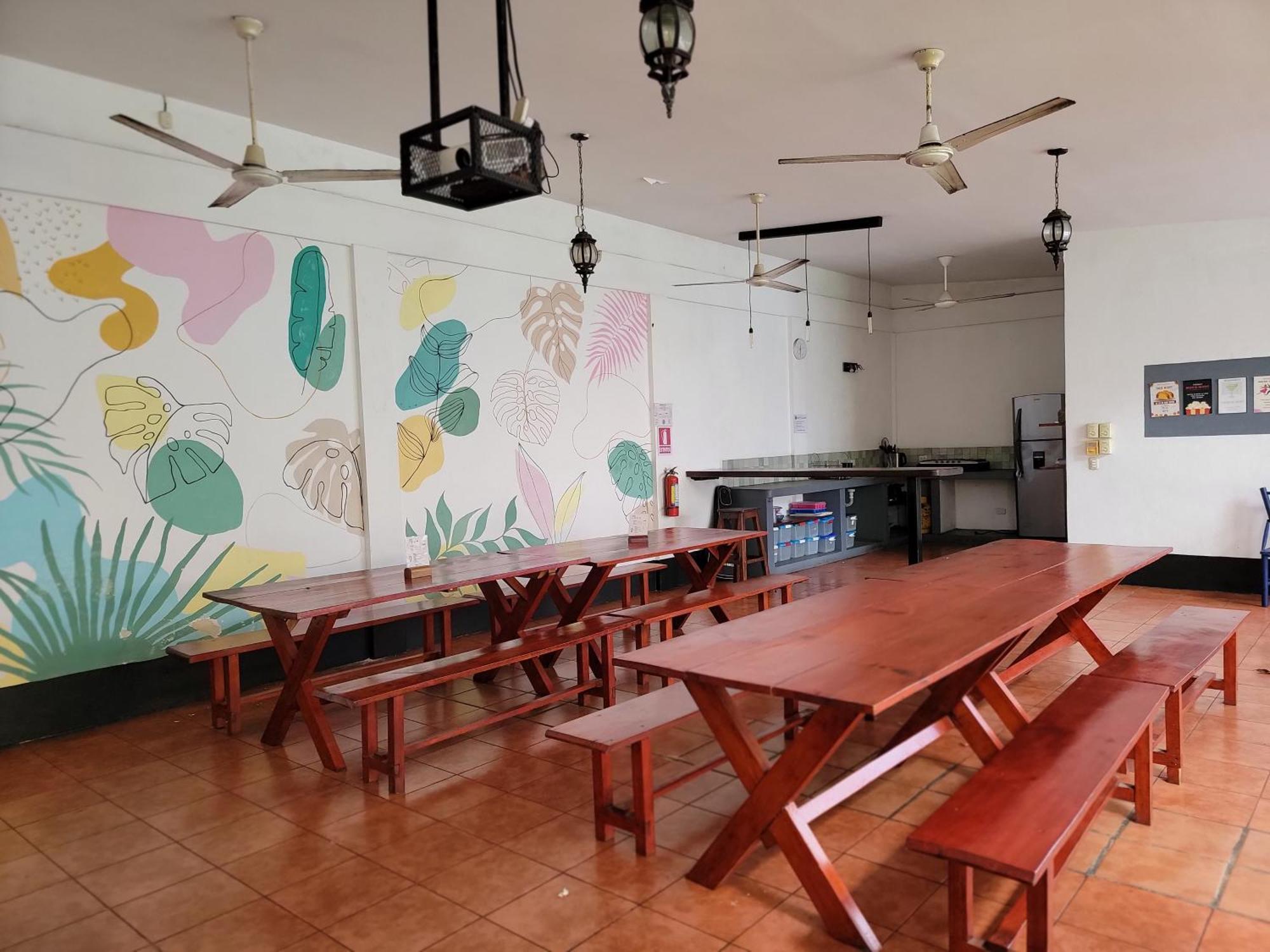 Poco A Poco Hostel León 外观 照片