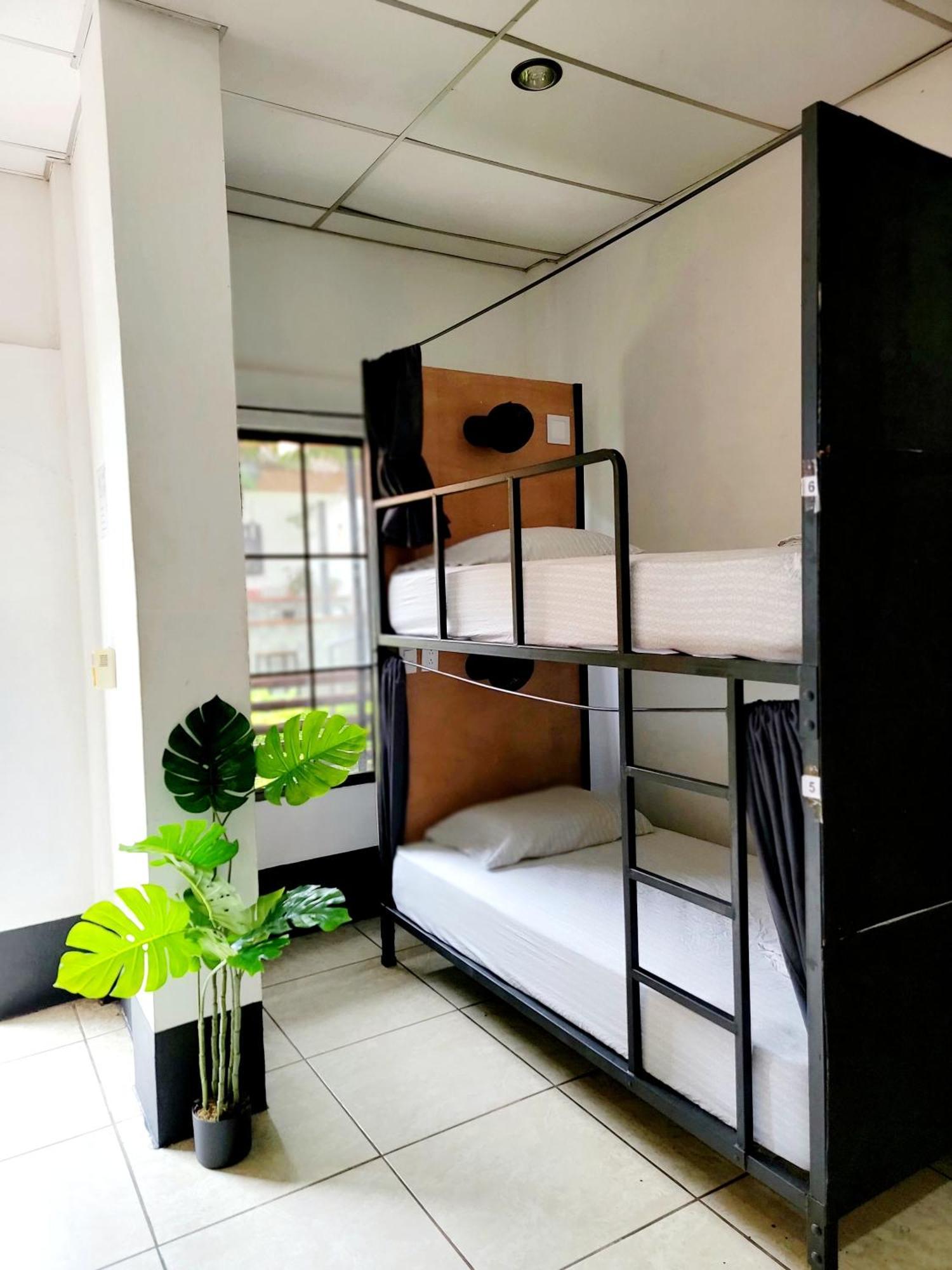 Poco A Poco Hostel León 外观 照片